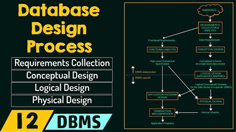 main data type in database design stage