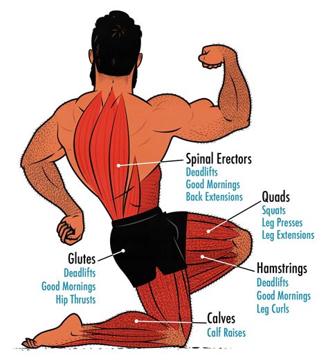 main leg exercises