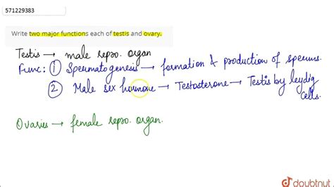 major functions of testis class 12