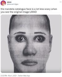 Mandela Catalogue Face Meme