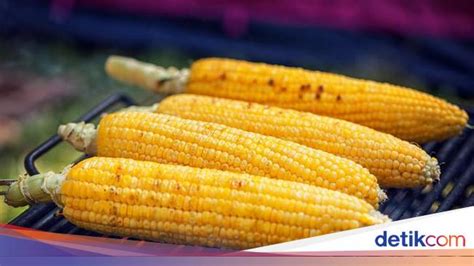manfaat jagung manis bagi kesehatan