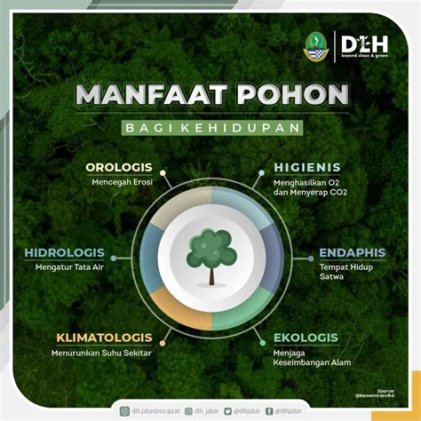 Manfaat pohon