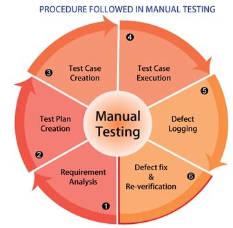 manual testing sample projects pdf