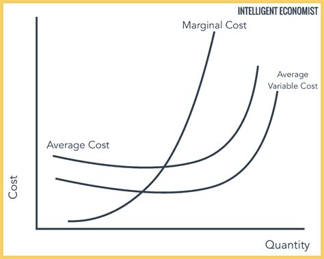 marginal cost average total cost and average variable cost graph