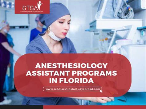 master's program in anesthesiologist assistant studies