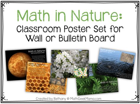 math in the real world project ideas