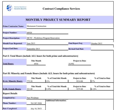 mdm monthly report excel format