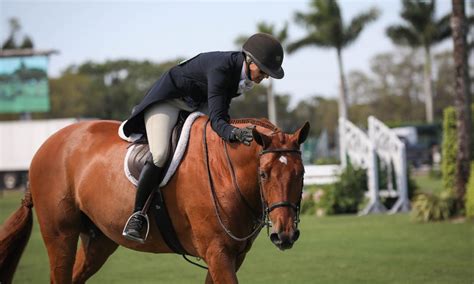 meaning of riding in english