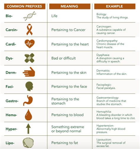 medical coding terms to know