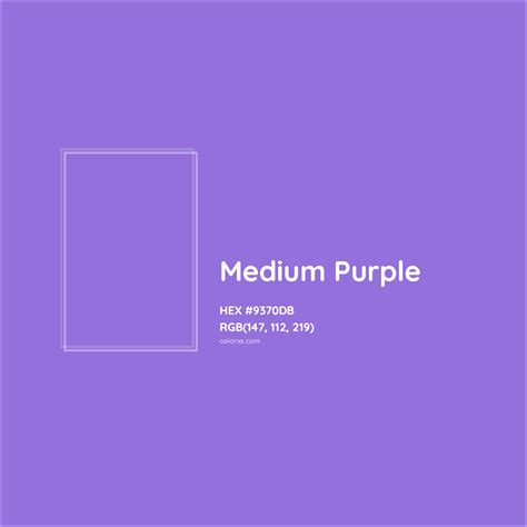 medium purple colour code