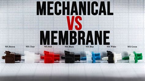 membrane vs mechanical keyboard image