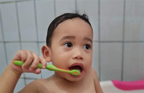 Menyikat gigi anak