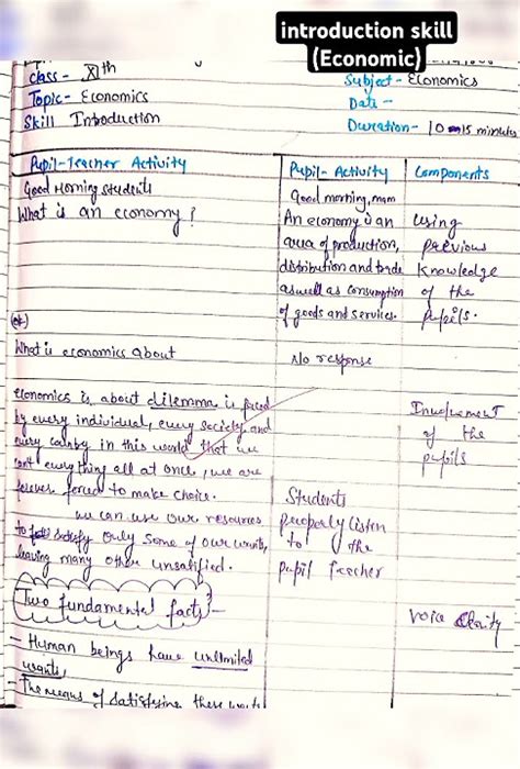 micro lesson plan on skill of introduction in economics
