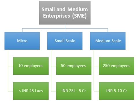 micro small medium and large scale enterprises definition