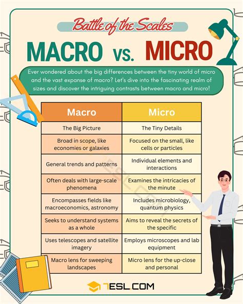 micro vs macro comparison table