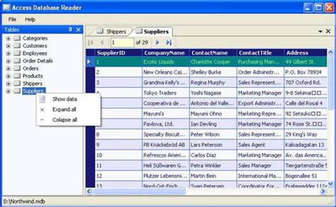 microsoft access database online viewer