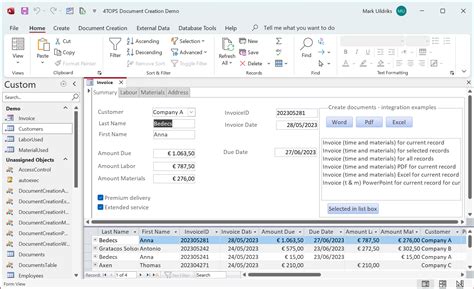 microsoft access demo database