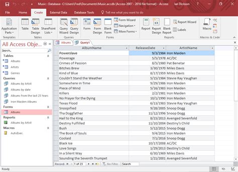 microsoft access practice database