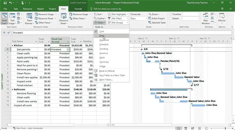 microsoft project instructions