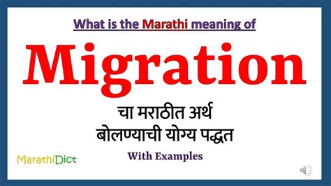 migration meaning in marathi with example