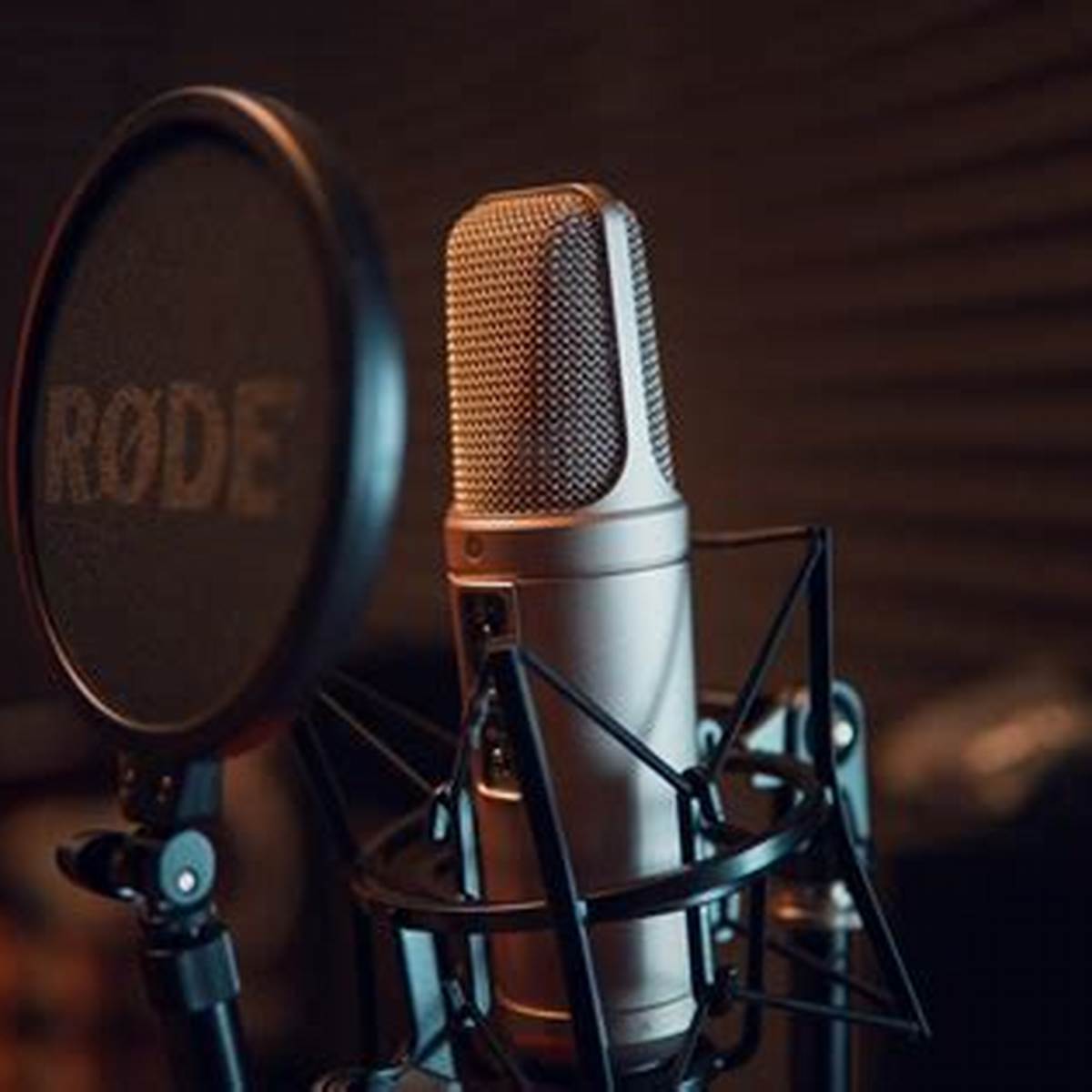 Mikrofon Digital untuk Cover Lagu Video