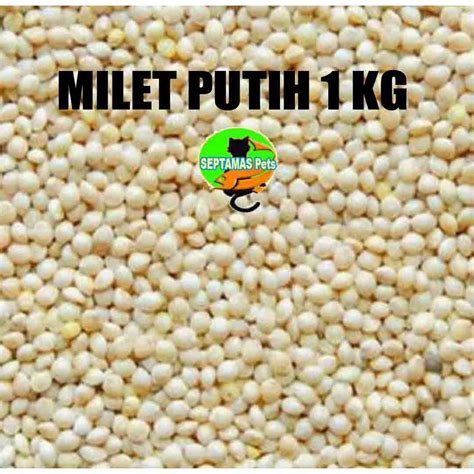 Milet putih