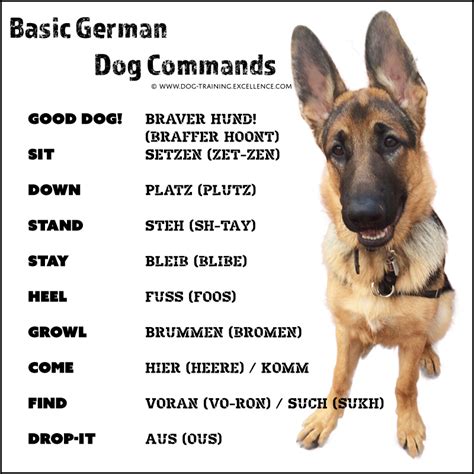 military dog commands list