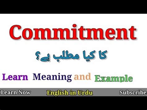 mis commitment meaning in urdu with example
