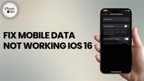 mobile data not working iphone 16