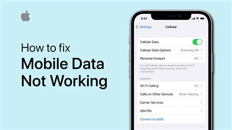 mobile data not working iphone reddit