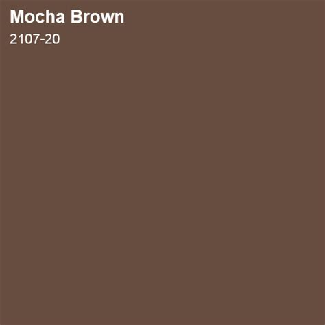 mocha brown colour code