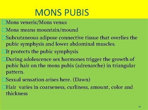 mons pubis