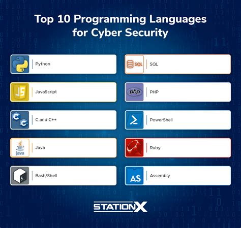 most used programming language in cyber security