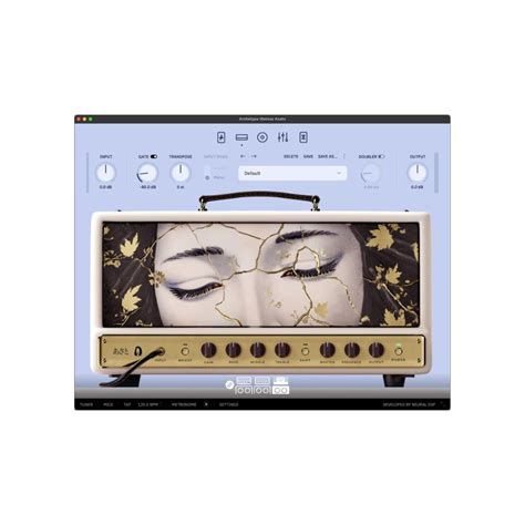 most versatile neural dsp plugin 2024