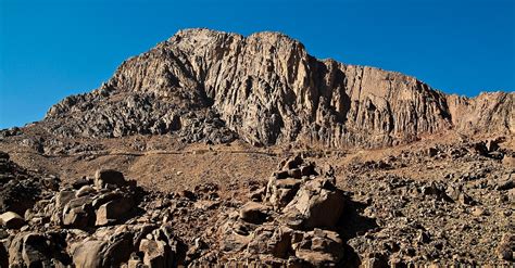 Mount Sinai Course Catalog