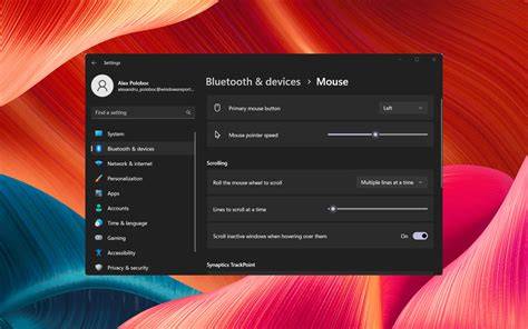 mouse settings