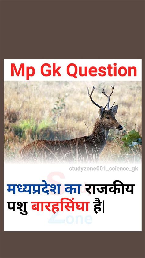 mp gk question answer in english