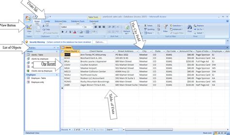 ms access is a database software true or false