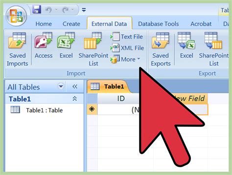 ms excel is application software true or false