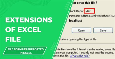 ms excel ka file extension name kya hai