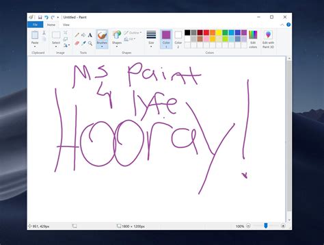 ms paint is a system software true or false