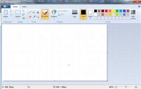 ms paint is an application software true or false