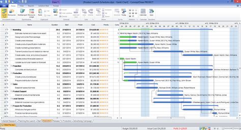 ms project gantt chart not showing