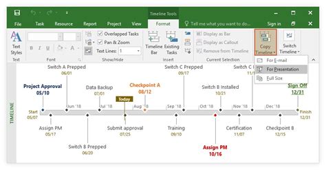 ms project timeline examples