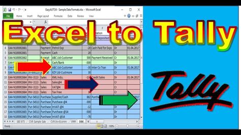 ms-word ms excel tally are the example of