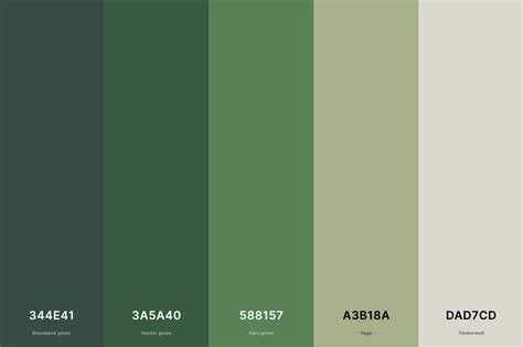 muted forest green hex code