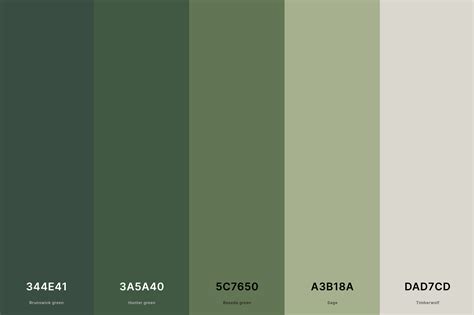 muted sage green hex code