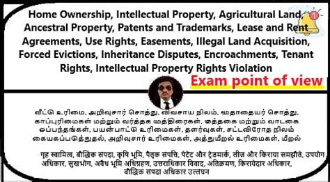 my property meaning in tamil with example
