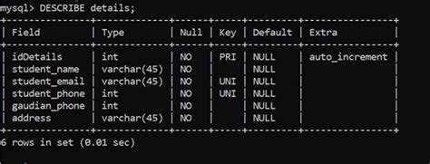 mysql describe all tables
