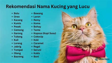 nama yang bagus buat kucing warna hitam